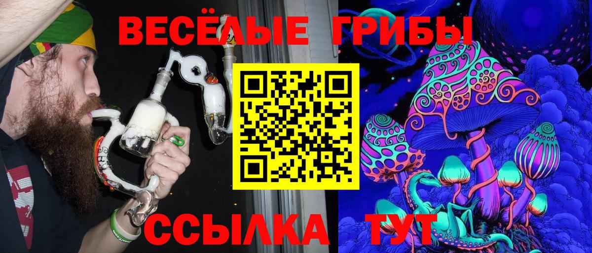 Псилоцибиновые грибы GOLDEN TEACHER  Галлюциногенные грибы GOLDEN TEACHER  Вход с VPN  Ялта 